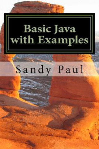 Knjiga Basic Java with Examples Mrs Sandy Paul