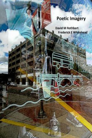 Kniha Poetic Imagery David M Rothbart
