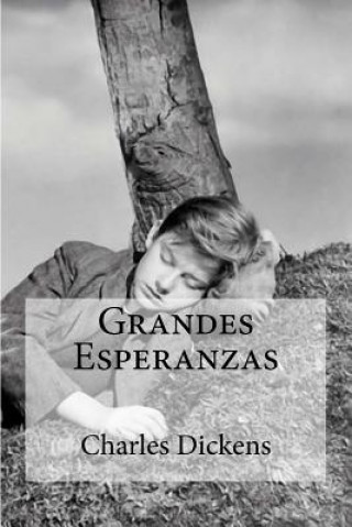 Kniha Grandes Esperanzas Edibooks