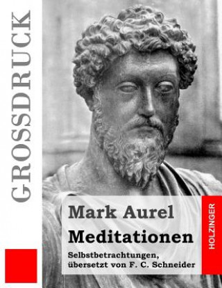 Kniha Meditationen (Großdruck): Selbstbetrachtungen Mark Aurel