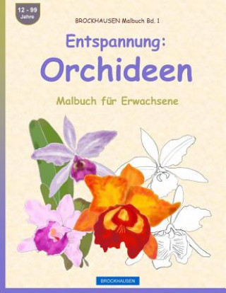 Kniha BROCKHAUSEN Malbuch Bd. 1 - Entspannung: Orchideen: Malbuch für Erwachsene Dortje Golldack