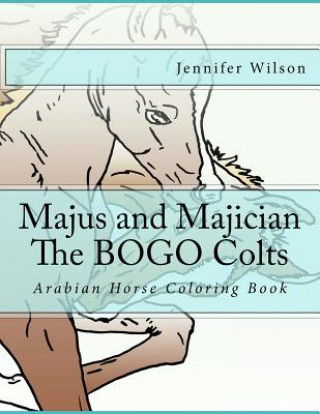 Kniha Majus and Majician Twin Colts Coloring Book: Horse Coloring Fun Jennifer Wilson