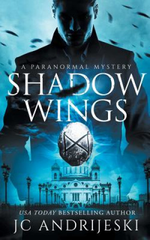 Knjiga Shadow Wings Jc Andrijeski