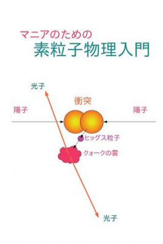 Könyv Elementary Particle Physics for Enthusiasts: Japanese Edition Yoshiki Teramoto