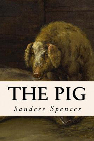 Knjiga The Pig Sanders Spencer