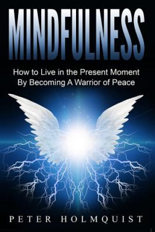 Kniha Mindfulness: How to Live in the Present Moment by Becoming A Warrior of Peace Peter Holmquist