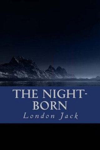 Könyv The Night-Born Minervas Owl