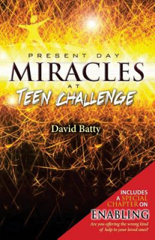 Kniha Present Day Miracles at Teen Challenge: 4 stories of deliverance from drug addiction David Batty