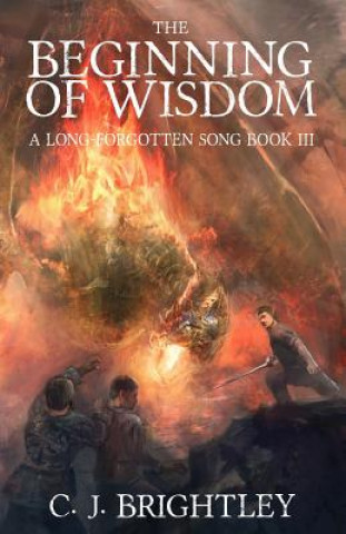 Kniha The Beginning of Wisdom C J Brightley