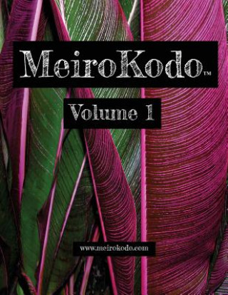 Kniha MeiroKodo: Volume 1 Stephanie Quanel