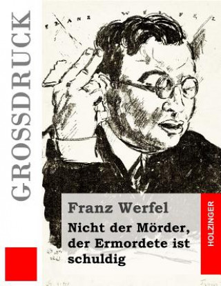 Kniha Nicht der Mörder, der Ermordete ist schuldig (Großdruck) Franz Werfel