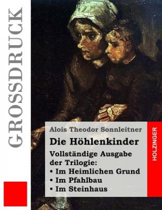 Kniha Die Höhlenkinder (Großdruck): Vollständige Ausgabe der Trilogie: Im Heimlichen Grund. Im Pfahlbau. Im Steinhaus Alois Theodor Sonnleitner