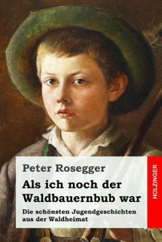 Könyv Als ich noch der Waldbauernbub war: Die schönsten Jugendgeschichten aus der Waldheimat Peter Rosegger