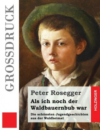 Kniha Als ich noch der Waldbauernbub war (Großdruck): Die schönsten Jugendgeschichten aus der Waldheimat Peter Rosegger