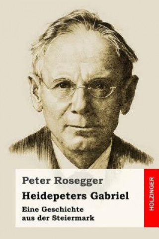 Kniha Heidepeters Gabriel: Eine Geschichte aus der Steiermark Peter Rosegger