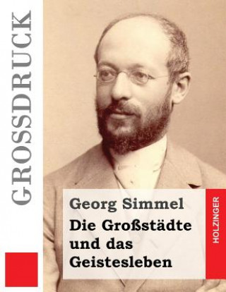 Kniha Die Großstädte und das Geistesleben (Großdruck) Georg Simmel