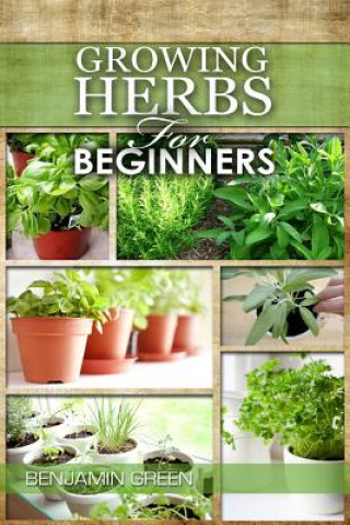 Könyv Growing Herbs for Beginners: How to Grow Low cost Indoor and Outdoor Herbs in containers, for Profit or for health benefits at home, Simple Basic R Benjamin Green