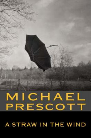 Carte A Straw in the Wind Michael Prescott