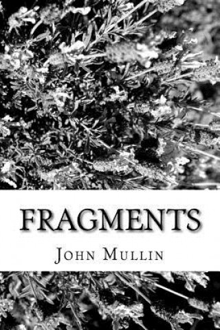 Knjiga Fragments: A Poetic Collection John Mullin