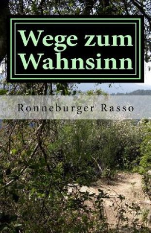 Kniha Wege zum Wahnsinn: Psychothriller Ronneburger Rasso