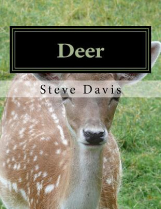 Libro Deer: Adult Coloring Book Steve Davis