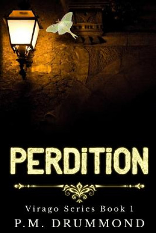 Libro Perdition: (Virago Book 1) P M Drummond