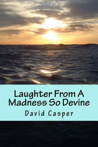 Boek Laughter From A Madness So Devine David Alvin Casper