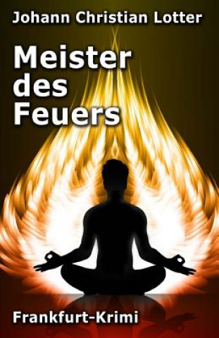 Livro Meister des Feuers: Frankfurt-Krimi Johann Christian Lotter