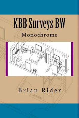 Buch KBB Surveys BW: Monochrome Brian Rider