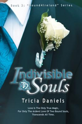 Kniha Indivisible Souls Tricia Daniels