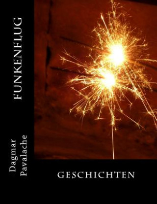 Buch Funkenflug: Geschichten Dagmar Pavalache