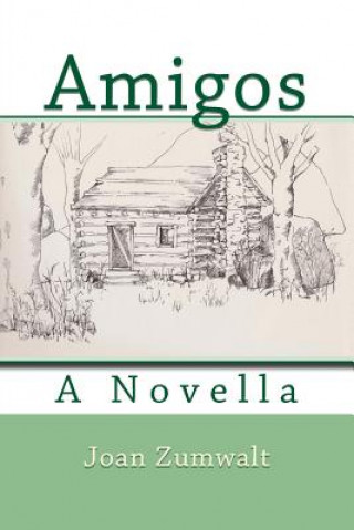 Buch Amigos: A Novella Joan Zumwalt