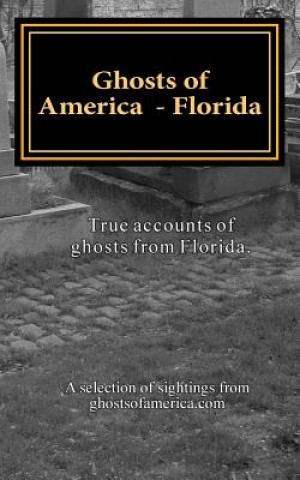 Könyv Ghosts of America - Florida Nina Lautner