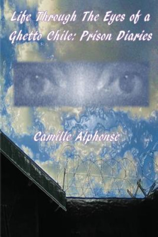 Kniha Life Through The Eyes of A Ghetto Chile: Prison Diaries Camille Alphonse