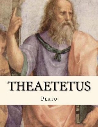 Könyv Theaetetus Plato