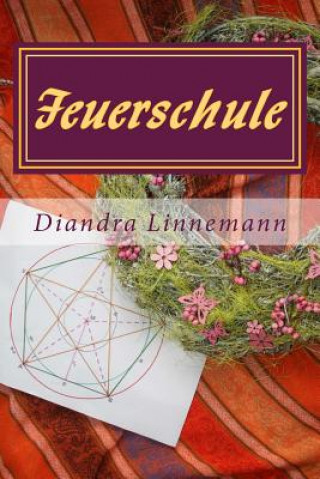 Book Feuerschule Diandra Linnemann
