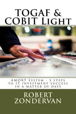 Kniha TOGAF & COBIT Light: AMORT System - 5 steps to IT investment success in a matter of days Robert Zondervan Msc