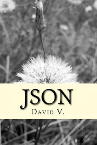 Kniha Json: Main principals David V
