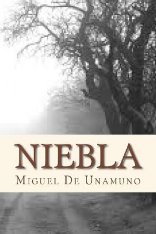 Carte Niebla Miguel De Unamuno