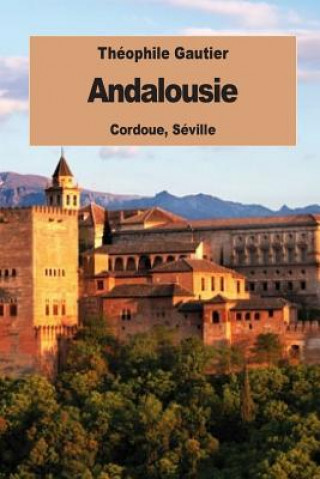 Book Andalousie: Cordoue, Séville Théophile Gautier