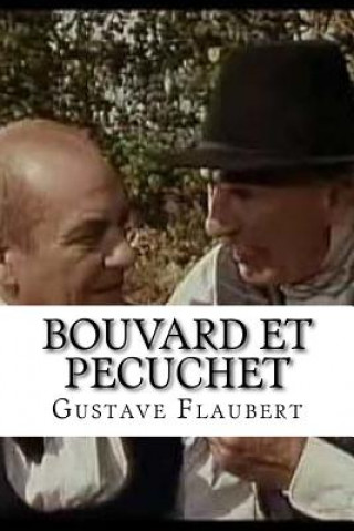 Buch Bouvard et Pecuchet Gustave Flaubert