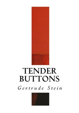 Book Tender Buttons Gertrude Stein