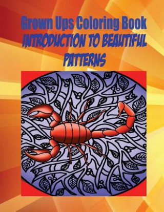 Kniha Grown Ups Coloring Book Introduction To Beautiful Patterns Anna Cox