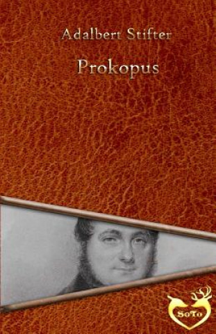 Kniha Prokopus Adalbert Stifter