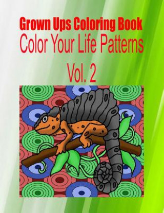 Kniha Grown Ups Coloring Book Color Your Life Patterns Vol. 2 William Risinger