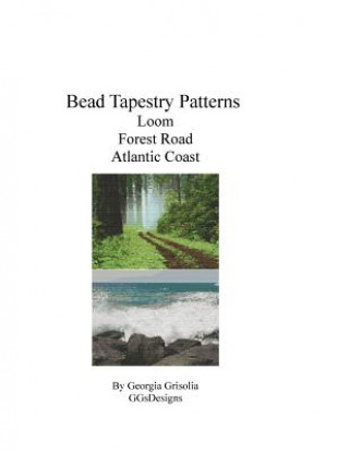 Kniha bead tapestry patterns loom forest road atlantic coast Georgia Grisolia