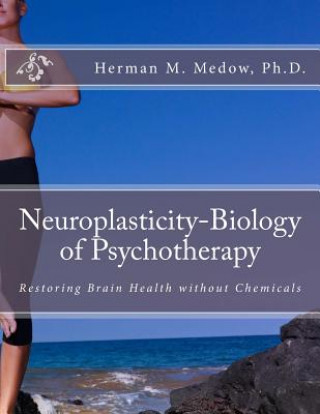 Kniha Neuroplasticity-Biology of Psychotherapy Dr Herman M Medow Ph D