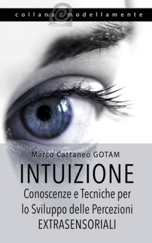 Buch Intuizione Marco Cattaneo