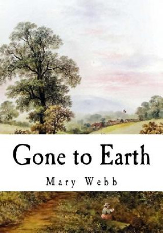 Kniha Gone to Earth Mary Webb
