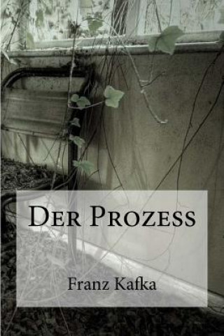 Könyv Der Prozess Franz Kafka